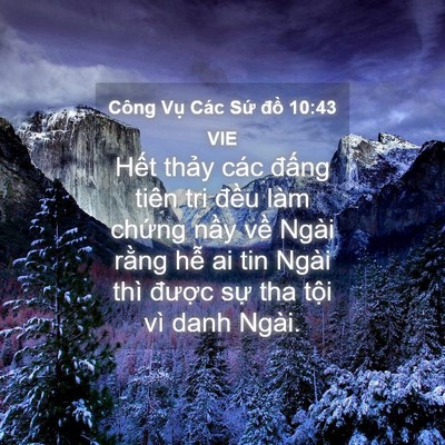 Picture 04 - Công Vụ Các Sứ đồ 10:43 VIE - Hết thảy các đấng tiên tri đều làm - Bible Verse Picture