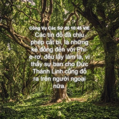 Picture 04 - Công Vụ Các Sứ đồ 10:45 VIE - Các tín đồ đã chịu phép cắt bì, là - Bible Verse Picture
