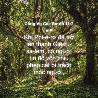 Picture 04 - Công Vụ Các Sứ đồ 11:2 VIE - Khi Phi-e-rơ đã trở lên thành - Bible Verse Picture