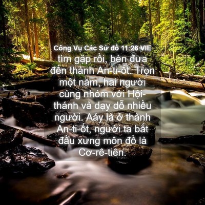 Picture 04 - Công Vụ Các Sứ đồ 11:26 VIE - tìm gặp rồi, bèn đưa đến thành - Bible Verse Picture
