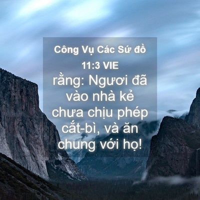 Picture 04 - Công Vụ Các Sứ đồ 11:3 VIE - rằng: Ngươi đã vào nhà kẻ chưa chịu - Bible Verse Picture