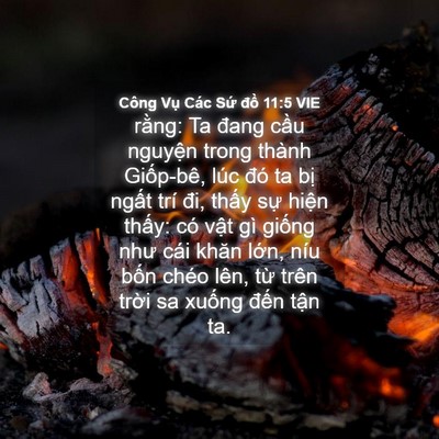 Picture 04 - Công Vụ Các Sứ đồ 11:5 VIE - rằng: Ta đang cầu nguyện trong thành - Bible Verse Picture