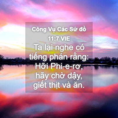 Picture 04 - Công Vụ Các Sứ đồ 11:7 VIE - Ta lại nghe có tiếng phán rằng: Hỡi - Bible Verse Picture
