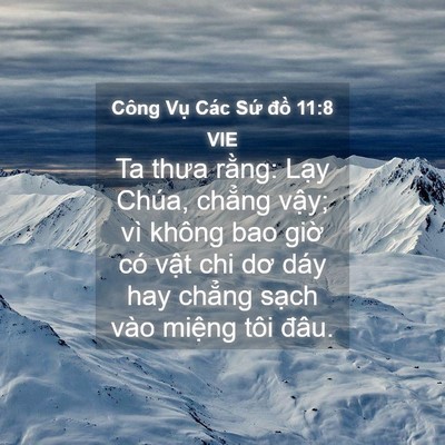 Picture 04 - Công Vụ Các Sứ đồ 11:8 VIE - Ta thưa rằng: Lạy Chúa, chẳng vậy; vì - Bible Verse Picture