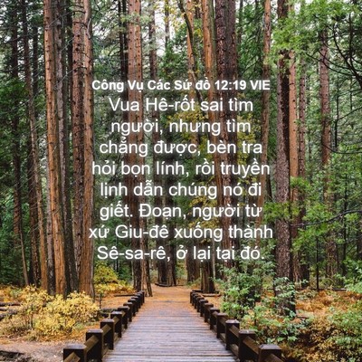 Picture 04 - Công Vụ Các Sứ đồ 12:19 VIE - Vua Hê-rốt sai tìm người, nhưng tìm - Bible Verse Picture