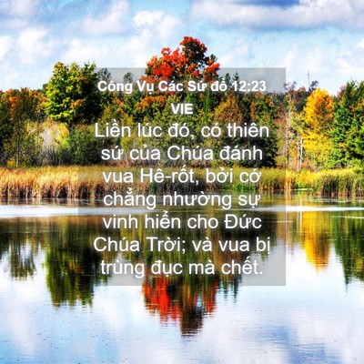 Picture 04 - Công Vụ Các Sứ đồ 12:23 VIE - Liền lúc đó, có thiên sứ của Chúa - Bible Verse Picture
