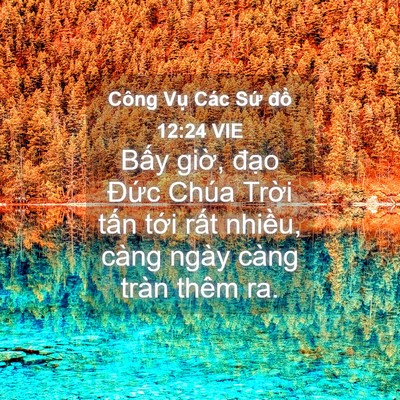 Picture 04 - Công Vụ Các Sứ đồ 12:24 VIE - Bấy giờ, đạo Đức Chúa Trời tấn - Bible Verse Picture