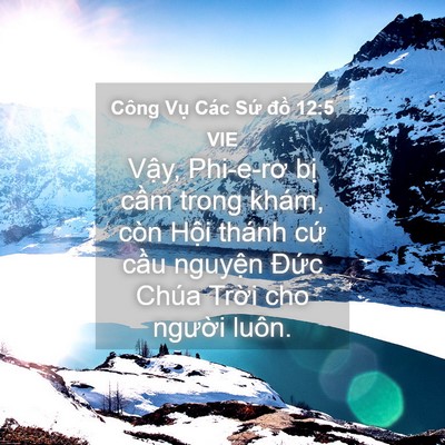 Picture 04 - Công Vụ Các Sứ đồ 12:5 VIE - Vậy, Phi-e-rơ bị cầm trong khám, còn - Bible Verse Picture