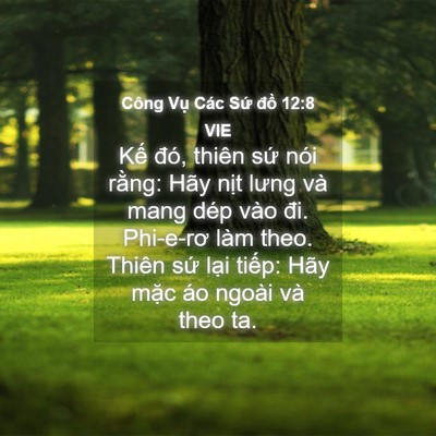 Picture 04 - Công Vụ Các Sứ đồ 12:8 VIE - Kế đó, thiên sứ nói rằng: Hãy nịt - Bible Verse Picture