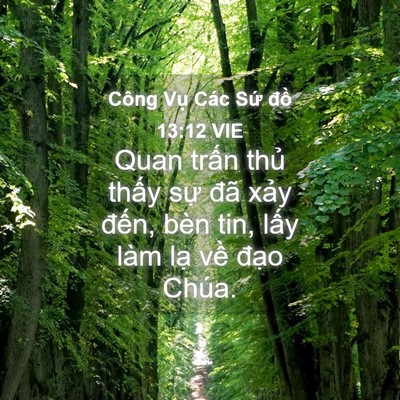 Picture 04 - Công Vụ Các Sứ đồ 13:12 VIE - Quan trấn thủ thấy sự đã xảy đến, - Bible Verse Picture