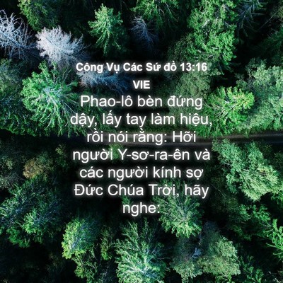 Picture 04 - Công Vụ Các Sứ đồ 13:16 VIE - Phao-lô bèn đứng dậy, lấy tay làm - Bible Verse Picture