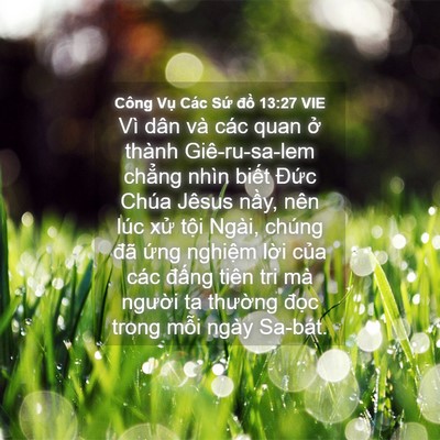 Picture 04 - Công Vụ Các Sứ đồ 13:27 VIE - Vì dân và các quan ở thành Giê-ru-sa-lem - Bible Verse Picture