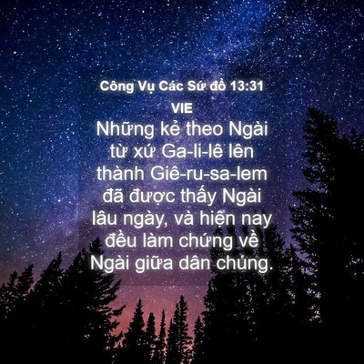 Picture 04 - Công Vụ Các Sứ đồ 13:31 VIE - Những kẻ theo Ngài từ xứ Ga-li-lê lên - Bible Verse Picture