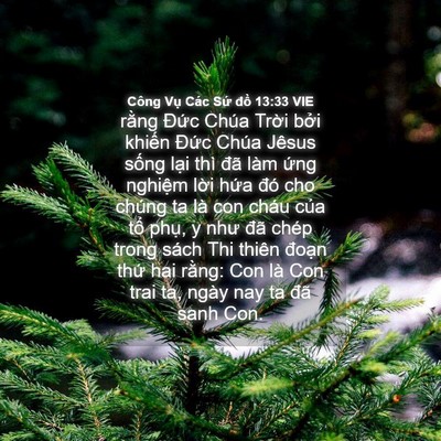 Picture 04 - Công Vụ Các Sứ đồ 13:33 VIE - rằng Đức Chúa Trời bởi khiến Đức - Bible Verse Picture