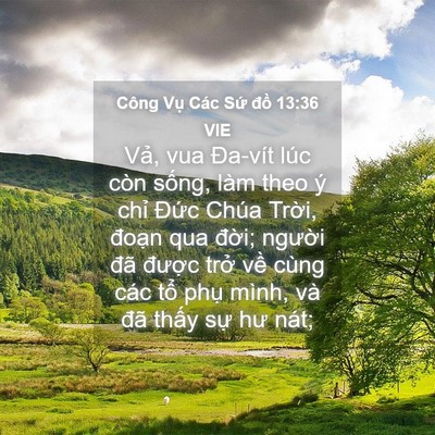 Picture 04 - Công Vụ Các Sứ đồ 13:36 VIE - Vả, vua Đa-vít lúc còn sống, làm theo ý - Bible Verse Picture