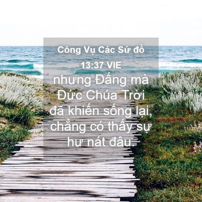 Picture 04 - Công Vụ Các Sứ đồ 13:37 VIE - nhưng Đấng mà Đức Chúa Trời đã - Bible Verse Picture
