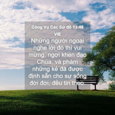 Picture 04 - Công Vụ Các Sứ đồ 13:48 VIE - Những người ngoại nghe lời đó thì vui - Bible Verse Picture