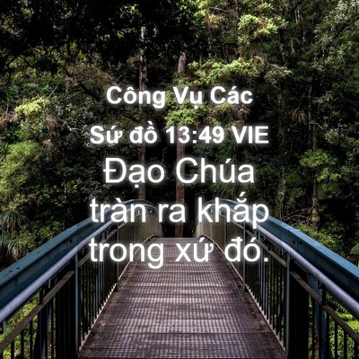Picture 04 - Công Vụ Các Sứ đồ 13:49 VIE - Đạo Chúa tràn ra khắp trong xứ - Bible Verse Picture