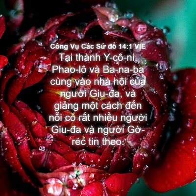 Picture 04 - Công Vụ Các Sứ đồ 14:1 VIE - Tại thành Y-cô-ni, Phao-lô và Ba-na-ba - Bible Verse Picture