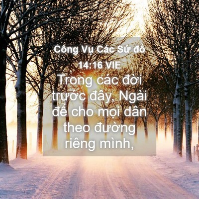 Picture 04 - Công Vụ Các Sứ đồ 14:16 VIE - Trong các đời trước đây, Ngài để cho - Bible Verse Picture
