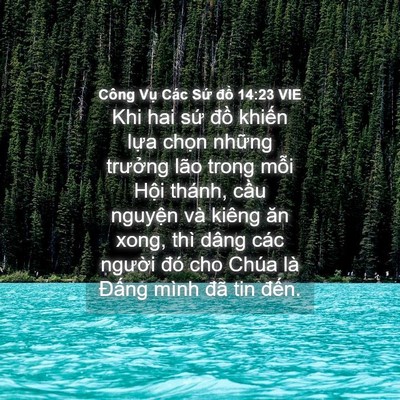 Picture 04 - Công Vụ Các Sứ đồ 14:23 VIE - Khi hai sứ đồ khiến lựa chọn những - Bible Verse Picture