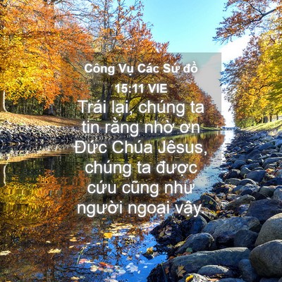 Picture 04 - Công Vụ Các Sứ đồ 15:11 VIE - Trái lại, chúng ta tin rằng nhờ ơn - Bible Verse Picture