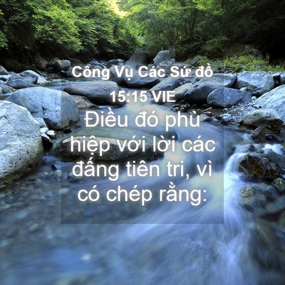 Picture 04 - Công Vụ Các Sứ đồ 15:15 VIE - Điều đó phù hiệp với lời các đấng - Bible Verse Picture