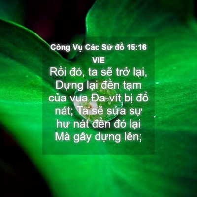 Picture 04 - Công Vụ Các Sứ đồ 15:16 VIE - Rồi đó, ta sẽ trở lại, Dựng lại - Bible Verse Picture