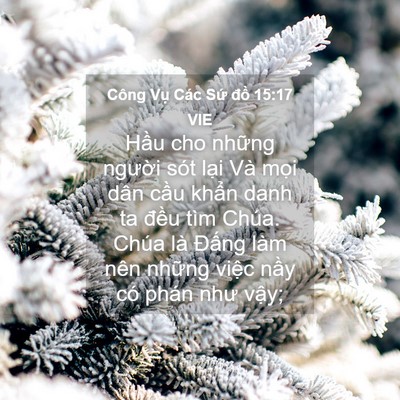 Picture 04 - Công Vụ Các Sứ đồ 15:17 VIE - Hầu cho những người sót lại Và mọi - Bible Verse Picture