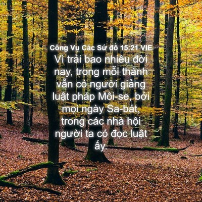 Picture 04 - Công Vụ Các Sứ đồ 15:21 VIE - Vì trải bao nhiêu đời nay, trong mỗi - Bible Verse Picture