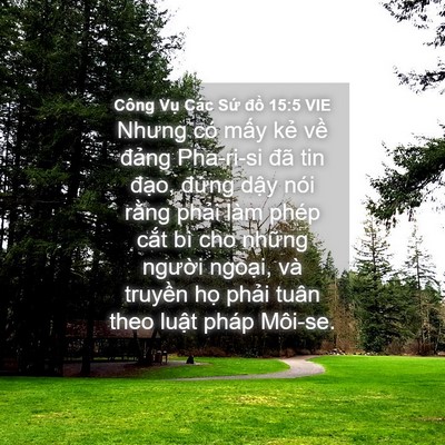 Picture 04 - Công Vụ Các Sứ đồ 15:5 VIE - Nhưng có mấy kẻ về đảng Pha-ri-si đã - Bible Verse Picture