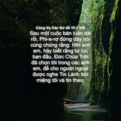 Picture 04 - Công Vụ Các Sứ đồ 15:7 VIE - Sau một cuộc bàn luận dài rồi, - Bible Verse Picture
