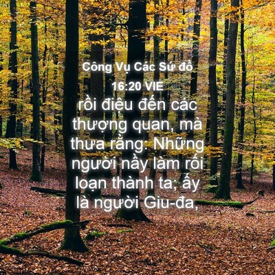 Picture 04 - Công Vụ Các Sứ đồ 16:20 VIE - rồi điệu đến các thượng quan, mà - Bible Verse Picture