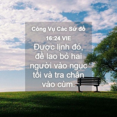 Picture 04 - Công Vụ Các Sứ đồ 16:24 VIE - Được lịnh đó, đề lao bỏ hai người - Bible Verse Picture