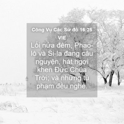 Picture 04 - Công Vụ Các Sứ đồ 16:25 VIE - Lối nửa đêm, Phao-lô và Si-la đang cầu - Bible Verse Picture
