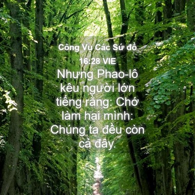Picture 04 - Công Vụ Các Sứ đồ 16:28 VIE - Nhưng Phao-lô kêu người lớn tiếng - Bible Verse Picture