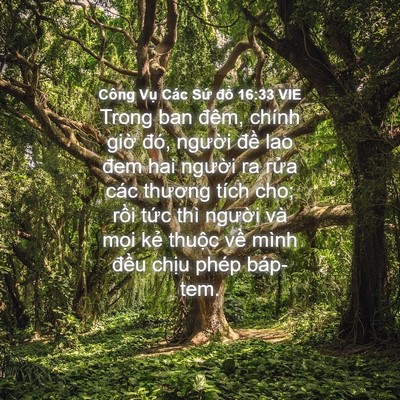 Picture 04 - Công Vụ Các Sứ đồ 16:33 VIE - Trong ban đêm, chính giờ đó, người - Bible Verse Picture