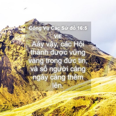 Picture 04 - Công Vụ Các Sứ đồ 16:5 VIE - Aáy vậy, các Hội thánh được vững - Bible Verse Picture