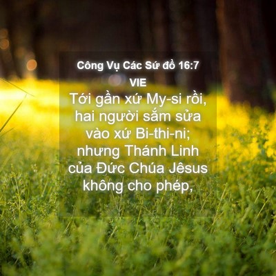 Picture 04 - Công Vụ Các Sứ đồ 16:7 VIE - Tới gần xứ My-si rồi, hai người sắm - Bible Verse Picture