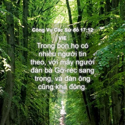 Picture 04 - Công Vụ Các Sứ đồ 17:12 VIE - Trong bọn họ có nhiều người tin theo, - Bible Verse Picture