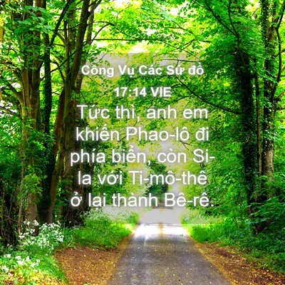 Picture 04 - Công Vụ Các Sứ đồ 17:14 VIE - Tức thì, anh em khiến Phao-lô đi phía - Bible Verse Picture