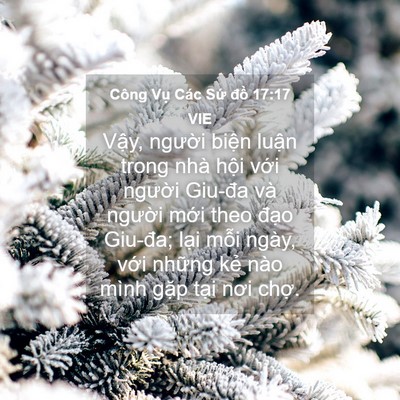 Picture 04 - Công Vụ Các Sứ đồ 17:17 VIE - Vậy, người biện luận trong nhà hội - Bible Verse Picture