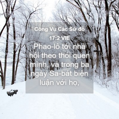 Picture 04 - Công Vụ Các Sứ đồ 17:2 VIE - Phao-lô tới nhà hội theo thói quen mình, - Bible Verse Picture
