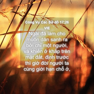 Picture 04 - Công Vụ Các Sứ đồ 17:26 VIE - Ngài đã làm cho muôn dân sanh ra bởi - Bible Verse Picture