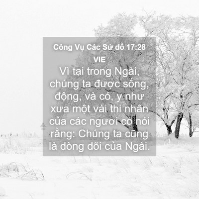 Picture 04 - Công Vụ Các Sứ đồ 17:28 VIE - Vì tại trong Ngài, chúng ta được sống, - Bible Verse Picture