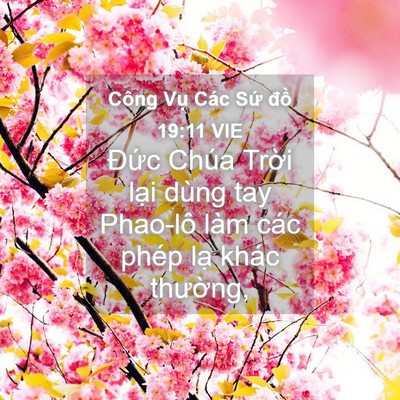 Picture 04 - Công Vụ Các Sứ đồ 19:11 VIE - Đức Chúa Trời lại dùng tay Phao-lô làm - Bible Verse Picture