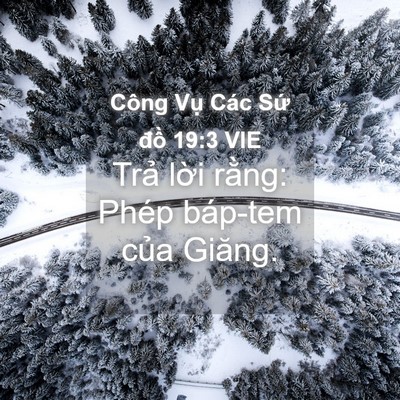 Picture 04 - Công Vụ Các Sứ đồ 19:3 VIE - Trả lời rằng: Phép báp-tem của - Bible Verse Picture