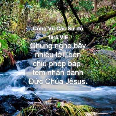 Picture 04 - Công Vụ Các Sứ đồ 19:5 VIE - Chúng nghe bấy nhiêu lời, bèn chịu phép - Bible Verse Picture