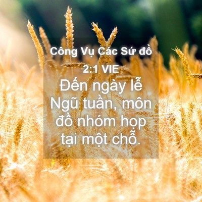 Picture 04 - Công Vụ Các Sứ đồ 2:1 VIE - Đến ngày lễ Ngũ tuần, môn đồ nhóm - Bible Verse Picture