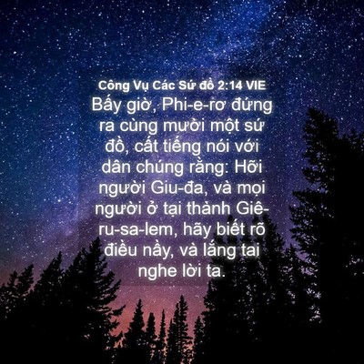 Picture 04 - Công Vụ Các Sứ đồ 2:14 VIE - Bấy giờ, Phi-e-rơ đứng ra cùng mười - Bible Verse Picture